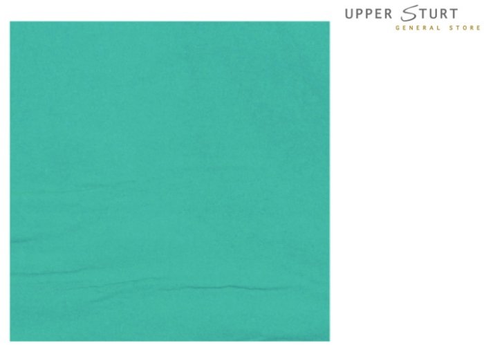 Aqua Napkins Solid Colour - 30 Pack