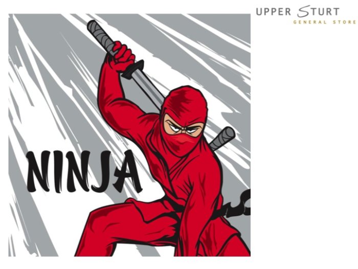 Ninja Warrior Party Lunch Napkins - 20 Pack