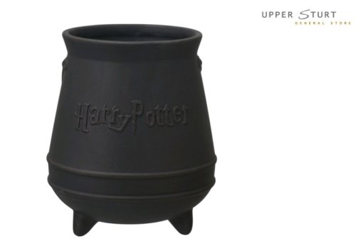 Harry Potter Cauldron 3D Mug 9342246011237